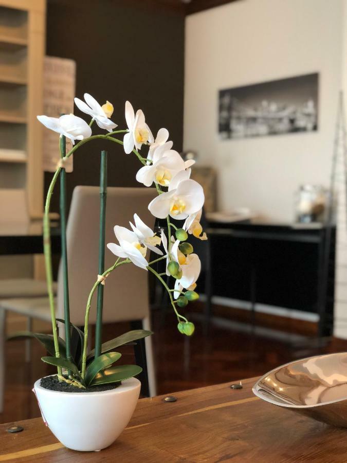 Mundo-Abeona Apartment Tudela Luaran gambar