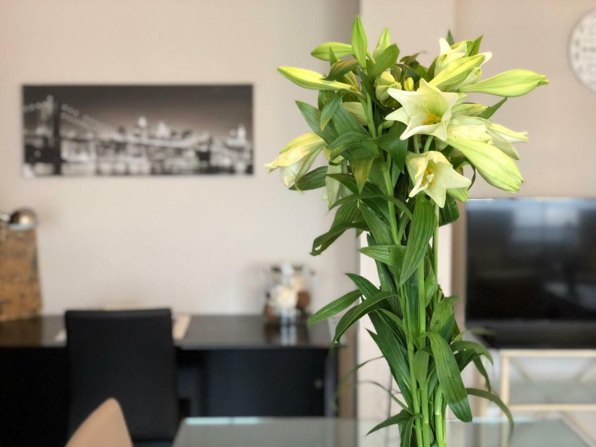 Mundo-Abeona Apartment Tudela Luaran gambar